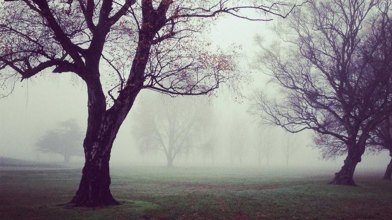 心理养生新视角:用科学方法给心灵做个“SPA”