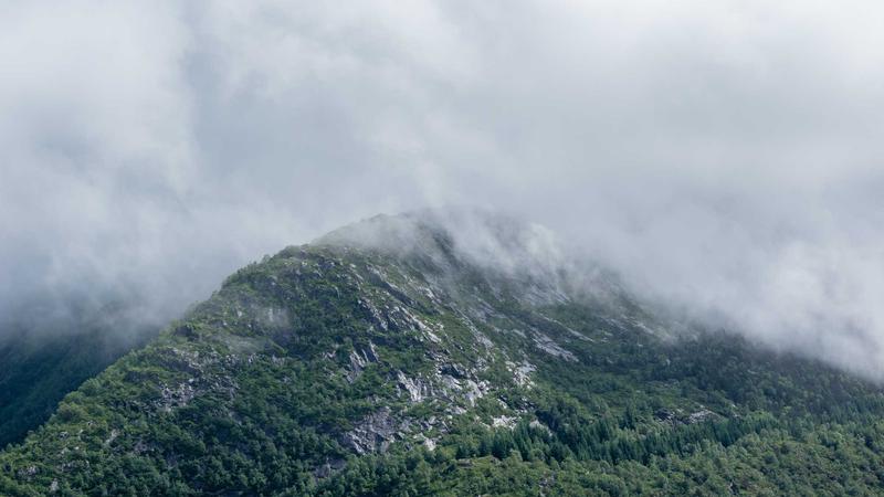 情绪管理秘籍：解锁心理健康的五大黄金法则