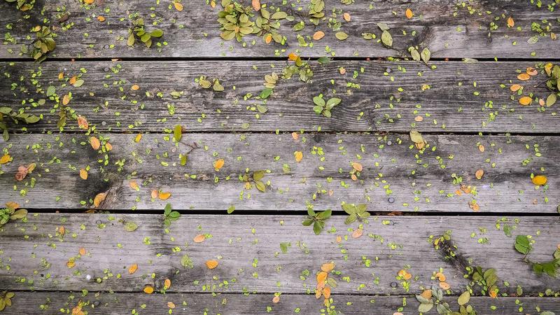 解锁健康密码：科学饮食搭配，吃出营养与活力