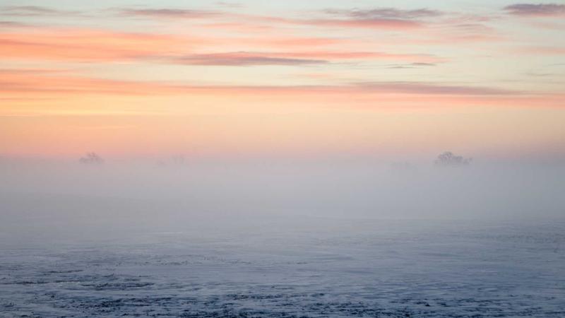 中医养生秘籍：顺应天时调五脏，解锁健康长寿密码