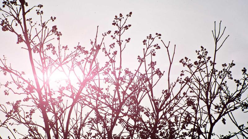 四季养生全攻略：顺应天时，激活身体自愈力