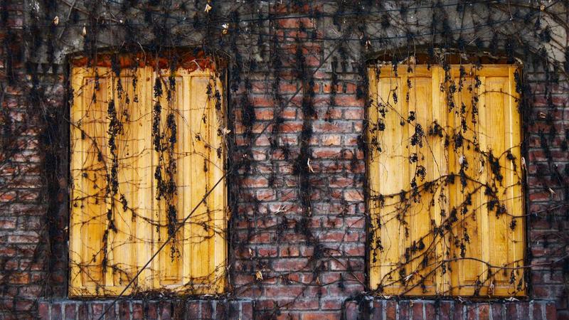 吃对食物养出好体质：解锁饮食营养的黄金法则