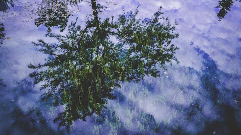 「营养密码」：解锁饮食搭配的黄金法则，吃出健康好体质