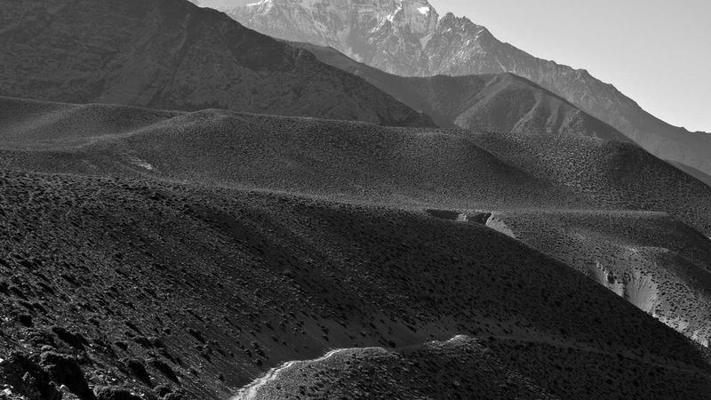 四季养生全攻略：中医教你顺应天时调养身心