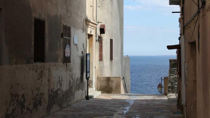 解锁健康密码：饮食营养里的黄金搭配法则