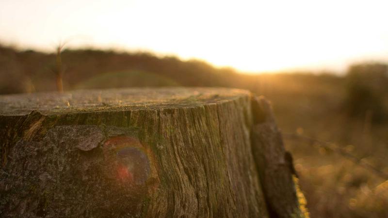 科学运动指南：解锁身体年轻密码的5个黄金法则