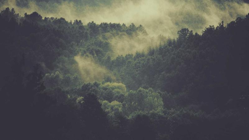 四季养生全攻略：中医智慧教你顺应天时养出好身体