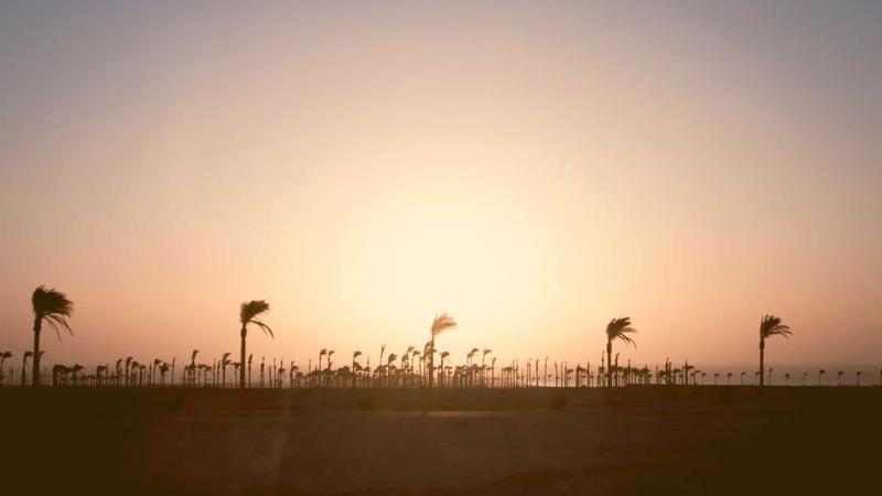 情绪管理秘籍：掌握这5招，让心灵重获自由与轻盈