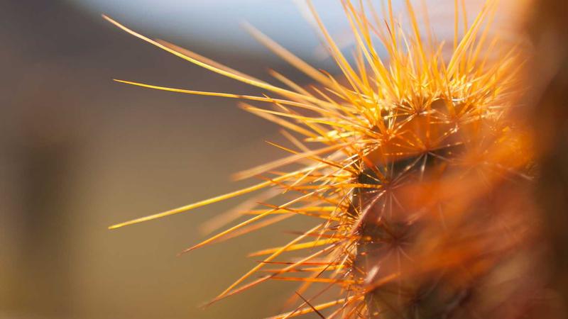 中医养生秘籍：顺应天时调阴阳，解锁健康长寿密码