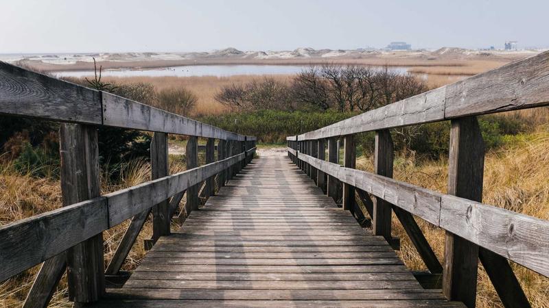 四季养生全攻略：顺应天时，解锁全年健康密码