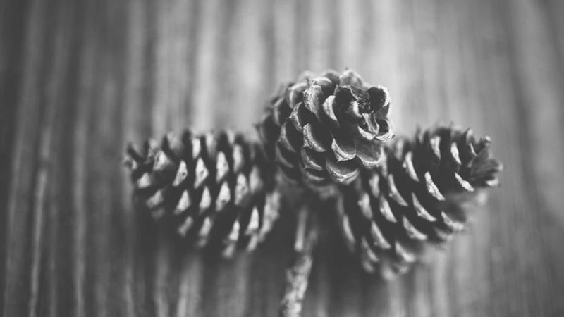 中医养生秘籍：顺应天时调五脏，激活身体自愈力