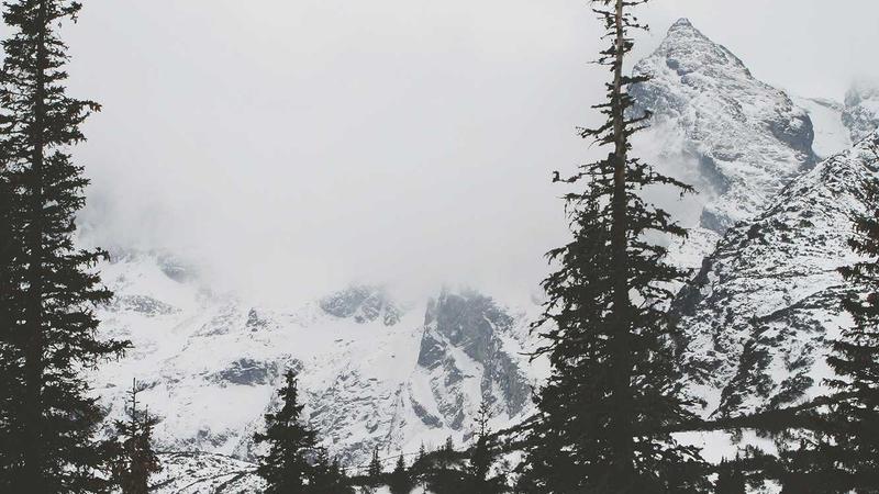 「营养密码」解锁：科学饮食搭配的黄金法则