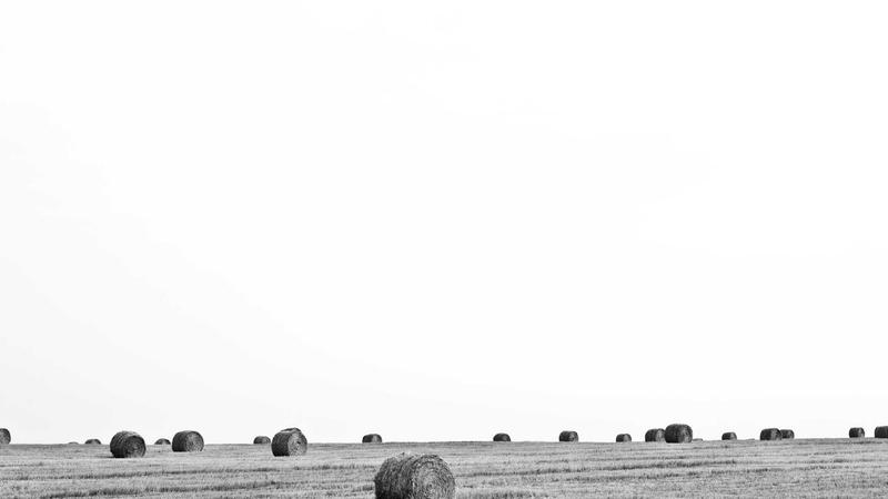 「彩虹饮食法」：用五色食物激活身体防御系统