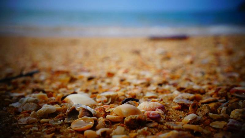 解锁饮食密码：科学营养搭配，吃出健康好身体